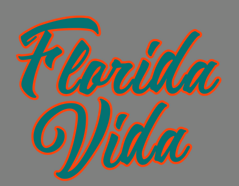Miami Dolphin stickers